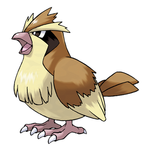 016_pidgey
